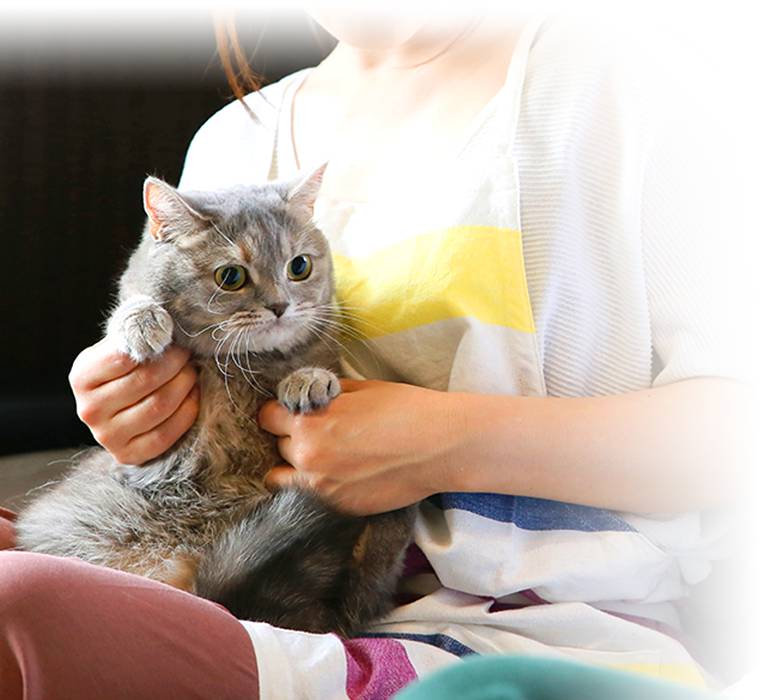 「ペット相談可能」のイメージ