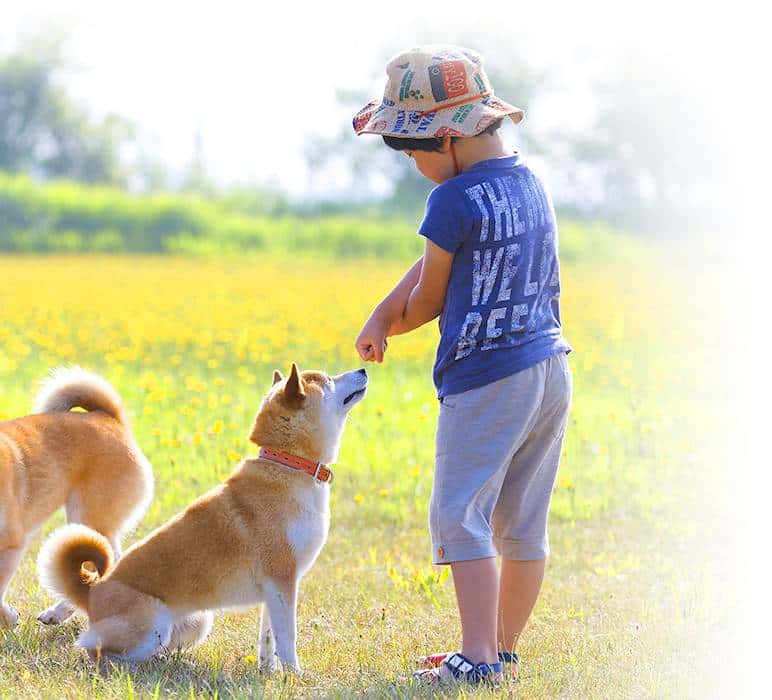 「ペット飼育相談可」のイメージ