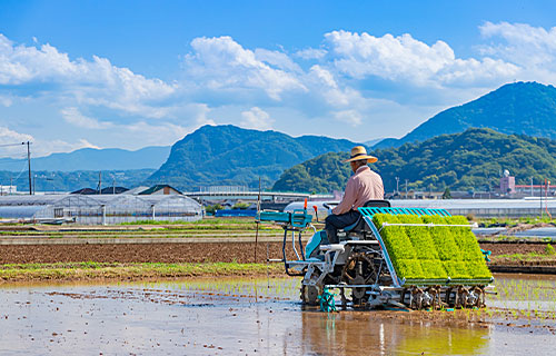 農地を売りたい・貸したい・転用したい