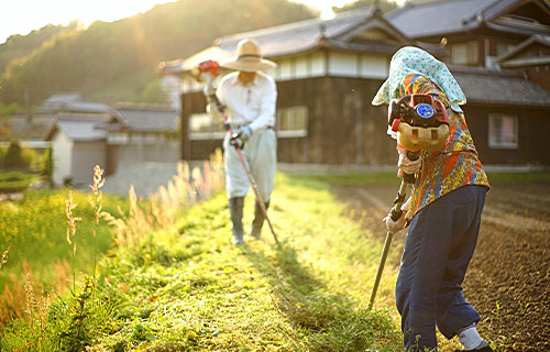 相続した農地をどうする？