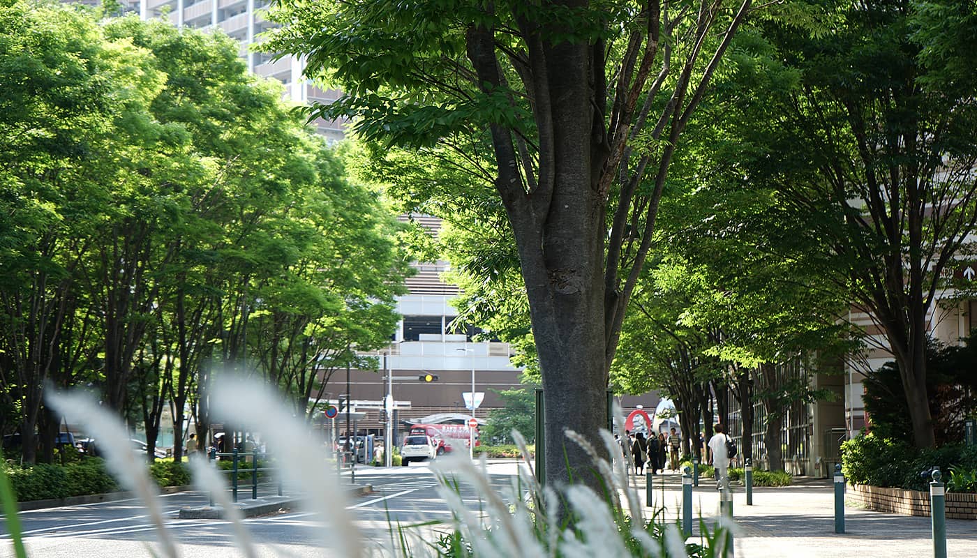 街の「将来性」はどうか？ イメージ