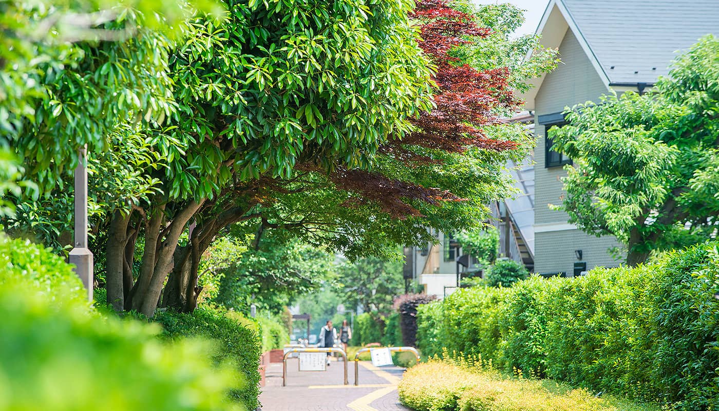 土地の「基準となる価格」から相場感を掴む！