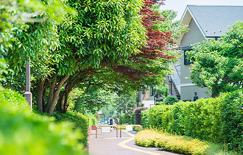 土地の「基準となる価格」から相場感を掴む！