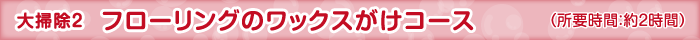 大掃除2　フローリングのワックスがけコース（所要時間：約2時間）