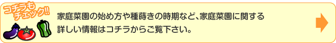 家庭菜園の始め方や種蒔きの時期など、家庭菜園に関する詳しい情報はコチラからご覧下さい。