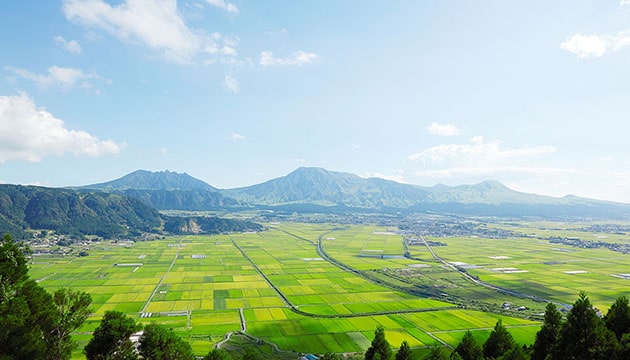 里山のイメージ