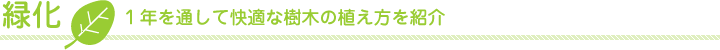 緑化｜１年を通して快適な樹木の植え方