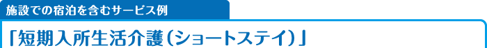 施設での宿泊を含むサービス例