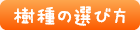 樹種の選び方