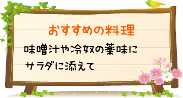 おすすめの料理　味噌汁や冷奴の薬味にサラダに添えて