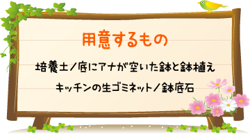 用意するもの　培養土／底にアナが空いた鉢と鉢植え　キッチンの生ゴミネット／鉢底石