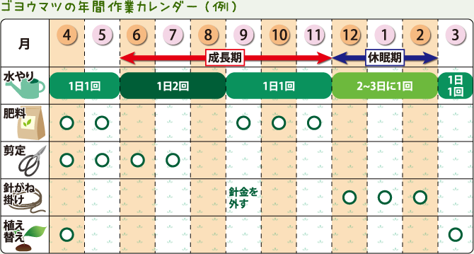 ゴヨウマツの年間作業カレンダー（例）