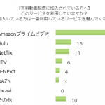 何かと便利な動画配信サービス！人気があるのはどれ？
