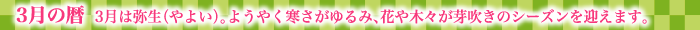 3月の暦  3月は弥生（やよい）。ようやく寒さがゆるみ、花や木々が芽吹きのシーズンを迎えます。