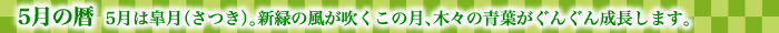 5月の暦  5月は皐月（さつき）。新緑の風が吹くこの月、木々の青葉がぐんぐん成長します。