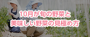 10月が旬の野菜と美味しい野菜の見極め方