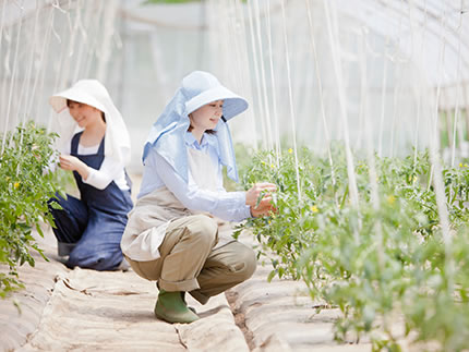 10月が旬の野菜と美味しい野菜の見極め方