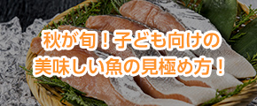 秋が旬！子ども向けの美味しい魚の見極め方！