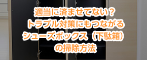 適当に済ませてない？トラブル対策にもつながるシューズボックス（下駄箱）の掃除方法