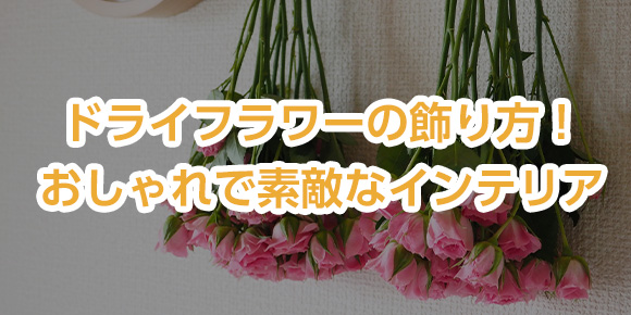 インテリアにおすすめの観葉植物！育て方・飾り方は？