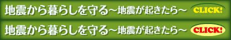 地震から暮らしを守る～地震が起きたら～