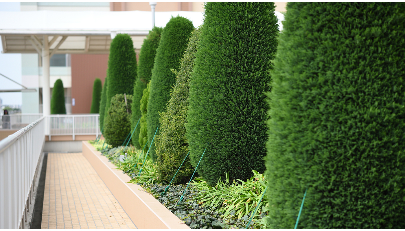 敷地内に見通しの悪い場所や、夜間に暗い場所はないか?