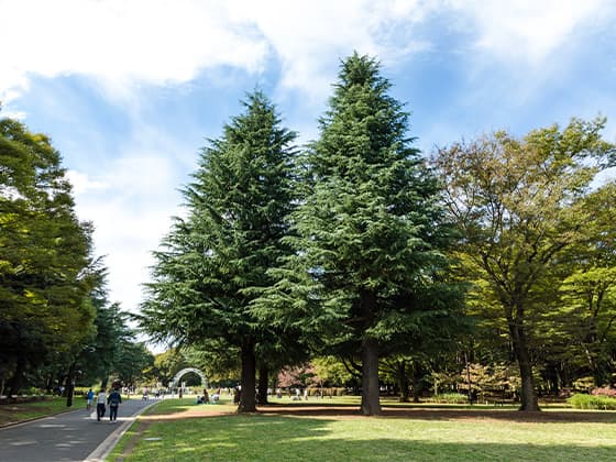 公園ピクニックと防災の意外な関係とは。楽しみながら災害に備える！