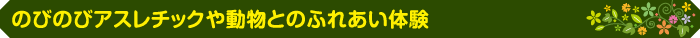 のびのびアスレチックや動物とのふれあい体験