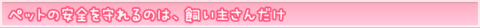 ペットの安全を守れるのは、飼い主さんだけ
