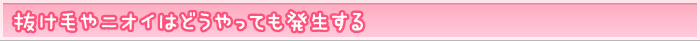 抜け毛やニオイはどうやっても発生する