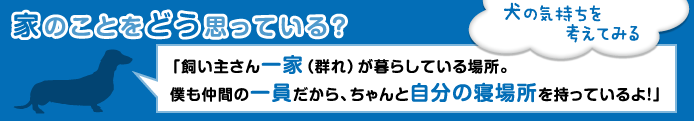 家のことをどう思っている？　犬の気持ちを考えてみる「飼い主さん一家（群れ）が暮らしている場所。僕も仲間の一員だから、ちゃんと自分の寝場所を持っているよ！」
