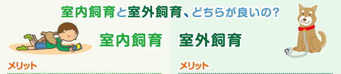 室内飼育と室外飼育、どちらが良いの？　メリット