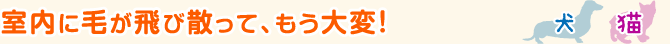 室内に毛が飛び散って、もう大変!