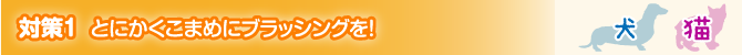 対策1 とにかくこまめにブラッシングを!