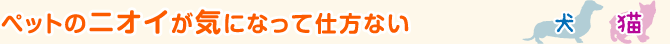 ペットのニオイが気になって仕方ない