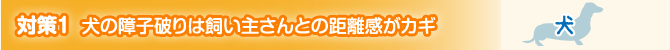 対策1 犬の障子破りは飼い主さんとの距離感がカギ