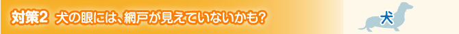 対策2 犬の眼には、網戸が見えていないかも？