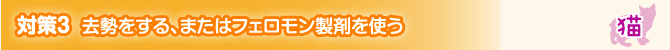 対策3 去勢をする、またはフェロモン製剤を使う