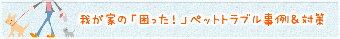 我が家の「困った！」ペットトラブル事例＆対策