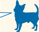 犬からのお願い 清潔にしていれば、体臭は気にならない/イラスト