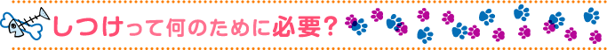 しつけって何のために必要?
