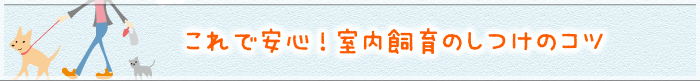 これで安心！室内飼育のしつけのコツ