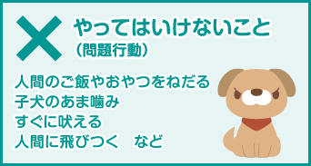 ×やってはいけないこと（問題行動） 人間のご飯やおやつをねだる 子犬のあま噛み すぐに吠える 人間に飛びつく など