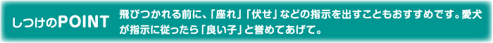 しつけのPOINT 飛びつかれる前に、「座れ」「伏せ」などの指示を出すこともおすすめです。愛犬が指示に従ったら「良い子」と誉めてあげて。