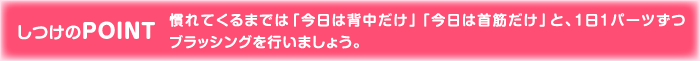 しつけのPOINT 慣れてくるまでは「今日は背中だけ」「今日は首筋だけ」と、1日1パーツずつブラッシングを行いましょう。