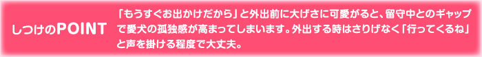 しつけのPOINT 「もうすぐお出かけだから」と外出前に大げさに可愛がると、留守中とのギャップで愛犬の孤独感が高まってしまいます。外出する時はさりげなく「行ってくるね」と声を掛ける程度で大丈夫。