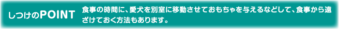 しつけのPOINT 食事の時間に、愛犬を別室に移動させておもちゃを与えるなどして、食事から遠ざけておく方法もあります。