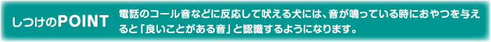 しつけのPOINT 電話のコール音などに反応して吠える犬には、音が鳴っている時におやつを与えると「良いことがある音」と認識するようになります。