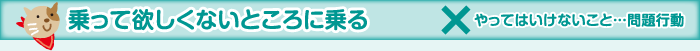 乗って欲しくないところに乗る　×やってはいけないこと…問題行動