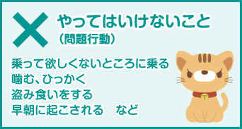 ×やってはいけないこと（問題行動） 乗って欲しくないところに乗る 噛む、ひっかく 盗み食いをする 早朝に起こされる など